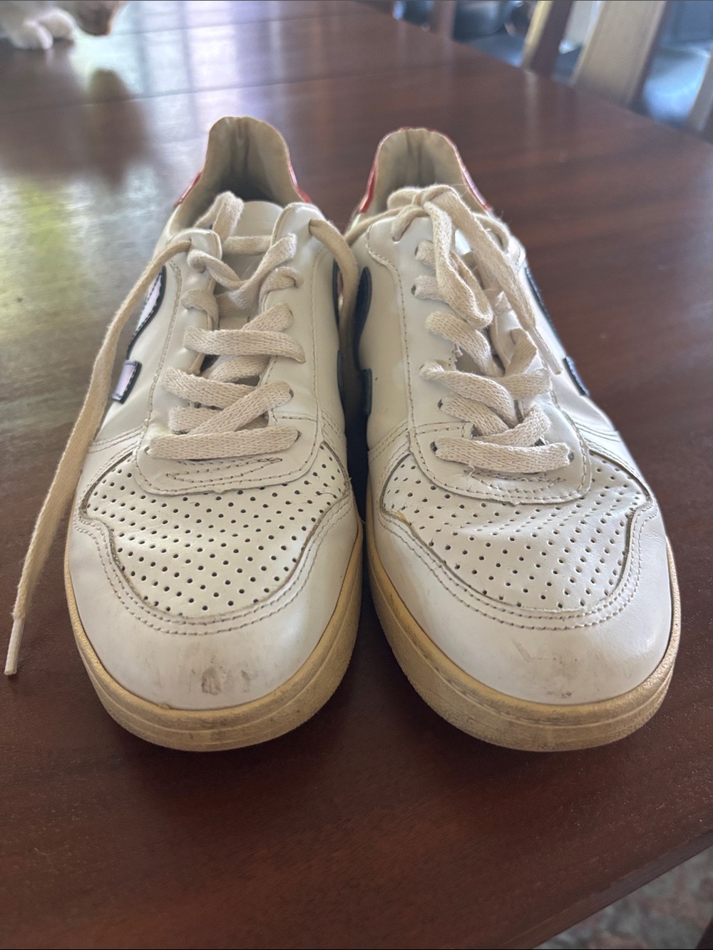 Womens Veja shoes